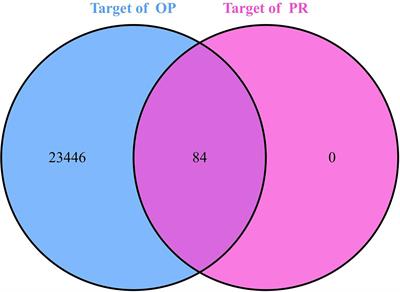 Exploration of the Molecular Mechanism of Polygonati Rhizoma in the Treatment of Osteoporosis Based on Network Pharmacology and Molecular Docking